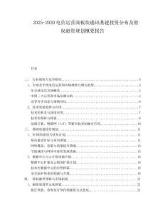 2025-2030電信運(yùn)營(yíng)商板塊通訊基建投資分布及股權(quán)融資規(guī)劃概要報(bào)告
