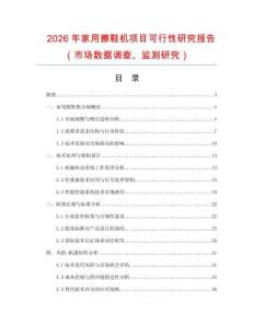 2026年家用擦鞋機(jī)項目可行性研究報告（市場數(shù)據(jù)調(diào)查、監(jiān)測研究）