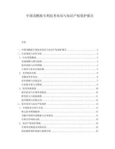 中國戊酰胺專利技術(shù)布局與知識產(chǎn)權(quán)保護報告