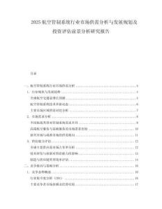 2025航空管制系統行業市場供需分析與發展規劃及投資評估前景分析研究報告