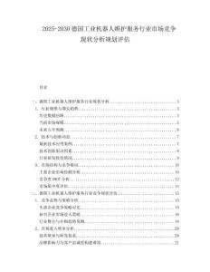 2025-2030德國工業機器人維護服務行業市場競爭現狀分析規劃評估