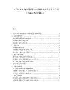 2025-2030婚紗攝影行業市場現狀供需分析評估投資規劃分析研究報告