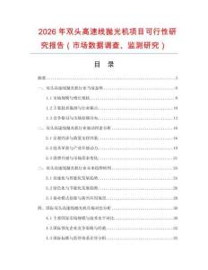 2026年雙頭高速線拋光機(jī)項(xiàng)目可行性研究報(bào)告（市場(chǎng)數(shù)據(jù)調(diào)查、監(jiān)測(cè)研究）