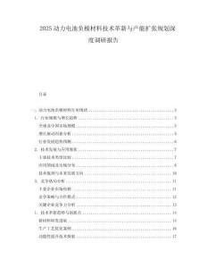 2025動力電池負極材料技術(shù)革新與產(chǎn)能擴張規(guī)劃深度調(diào)研報告