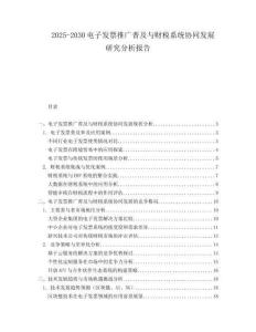 2025-2030電子發(fā)票推廣普及與財(cái)稅系統(tǒng)協(xié)同發(fā)展研究分析報(bào)告