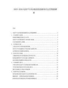 2025-2030電商平臺私域流量漣漪效應運營數據解析
