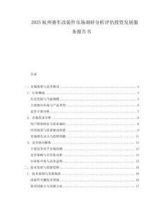 2025杭州賽車改裝件市場調研分析評估投資發展服務報告書