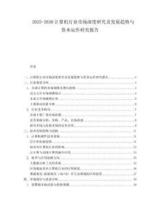 2025-2030計算機行業(yè)市場深度研究及發(fā)展趨勢與資本運作研究報告