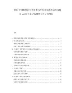 2025中國智能汽車傳感器元件行業市場現狀需求技術build投資評估規劃分析研究報告