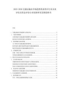 2025-2030交通運輸業市場趨勢需求供應行業未來評估及資金評估行業創新研究發展趨勢書