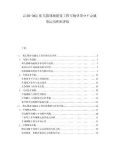 2025-2030街頭籃球場建設工程市場供需分析及城市運動休閑評估