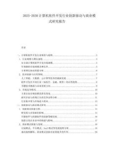 2025-2030計(jì)算機(jī)軟件開發(fā)行業(yè)創(chuàng)新驅(qū)動(dòng)與商業(yè)模式研究報(bào)告
