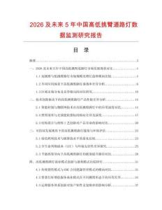 2026及未來5年中國高低挑臂道路燈數據監(jiān)測研究報告