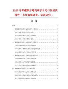 2026年紫檀象牙雕刻箏項目可行性研究報告（市場數據調查、監測研究）