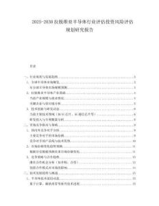 2025-2030拉脫維亞半導體行業評估投資風險評估規劃研究報告