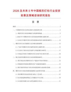 2026及未來5年中國欖形燈柱行業投資前景及策略咨詢研究報告