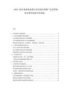 2025-2030卷材熱處理行業市場應用推廣技術革新競爭格局投資評估規劃