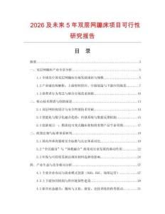 2026及未來(lái)5年雙層網(wǎng)蹦床項(xiàng)目可行性研究報(bào)告