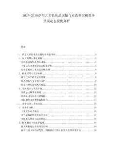 2025-2030薩爾瓦多危化品運(yùn)輸行業(yè)改革突破競爭供需動態(tài)投資分析