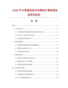 2026年中國重氮紫外線曬版燈管數(shù)據(jù)監(jiān)測研究報告