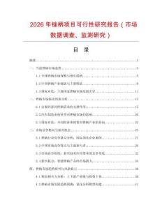 2026年銼柄項(xiàng)目可行性研究報(bào)告（市場(chǎng)數(shù)據(jù)調(diào)查、監(jiān)測(cè)研究）