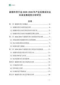 謝德炸藥行業(yè)2026-2030年產(chǎn)業(yè)發(fā)展現(xiàn)狀及未來發(fā)展趨勢分析研究