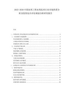 2025-2030中國水利工程水利技術(shù)行業(yè)市場供需分析及投資綜合評估規(guī)劃分析研究報告