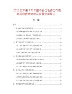 2026及未來5年中國中長仿毛彈力布市場現(xiàn)狀數(shù)據分析及前景預測報告