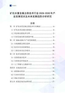 礦坑水重金屬去除技術(shù)行業(yè)2026-2030年產(chǎn)業(yè)發(fā)展現(xiàn)狀及未來發(fā)展趨勢分析研究