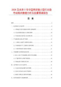 2026及未來5年中國帶球盒小型打擊墊市場現狀數據分析及前景預測報告