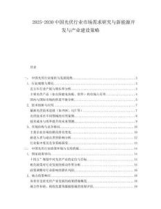 2025-2030中國光伏行業(yè)市場需求研究與新能源開發(fā)與產(chǎn)業(yè)建設(shè)策略