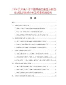 2026及未來5年中國黑白四畫面分割器市場現(xiàn)狀數(shù)據(jù)分析及前景預(yù)測報(bào)告
