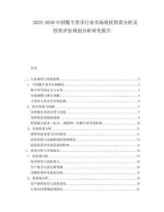 2025-2030中國數字貨幣行業市場現狀供需分析及投資評估規劃分析研究報告