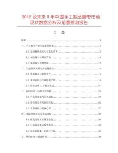 2026及未來5年中國手工制品腰帶市場現狀數據分析及前景預測報告