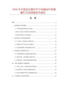 2026年中國抬壓腳杠桿中間操縱桿軸套螺釘市場調查研究報告