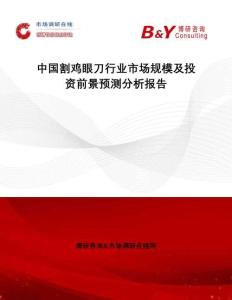 中國割雞眼刀行業市場規模及投資前景預測分析報告