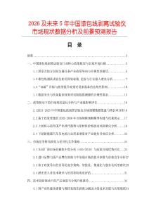 2026及未來5年中國漆包線剝離試驗儀市場現(xiàn)狀數(shù)據分析及前景預測報告