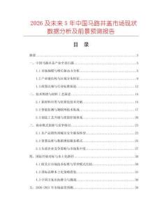 2026及未來5年中國馬路井蓋市場現狀數據分析及前景預測報告