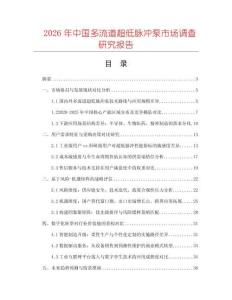 2026年中國多流道超低脈沖泵市場調(diào)查研究報告