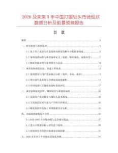 2026及未來5年中國打眼鉆頭市場現狀數據分析及前景預測報告