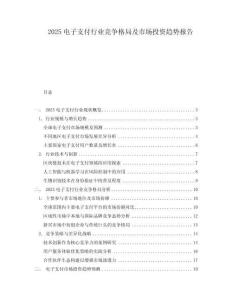 2025電子支付行業(yè)競(jìng)爭(zhēng)格局及市場(chǎng)投資趨勢(shì)報(bào)告