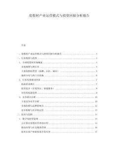 度假村產(chǎn)業(yè)運營模式與投資回報分析報告