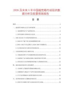 2026及未來5年中國超寬箱市場現狀數據分析及前景預測報告
