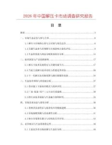 2026年中國解壓卡市場調(diào)查研究報(bào)告