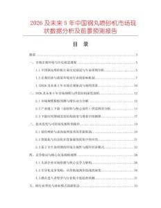2026及未來5年中國鋼丸噴砂機(jī)市場現(xiàn)狀數(shù)據(jù)分析及前景預(yù)測報(bào)告
