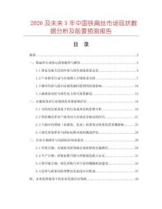 2026及未來5年中國鐵扁絲市場現狀數據分析及前景預測報告