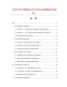 2026年中國脫把手開關市場調查研究報告