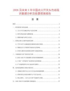 2026及未來5年中國點火開關頭市場現狀數據分析及前景預測報告