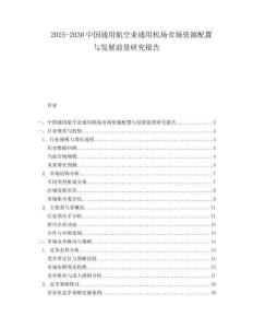 2025-2030中國通用航空業(yè)通用機場市場資源配置與發(fā)展前景研究報告