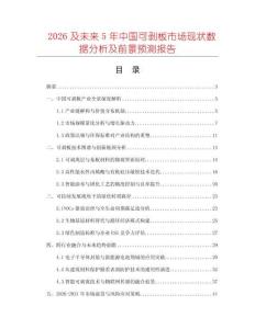 2026及未來5年中國可剝板市場現狀數據分析及前景預測報告